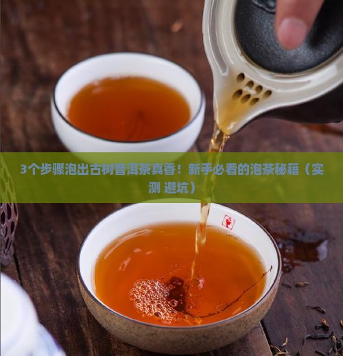 古树普洱茶正确泡法