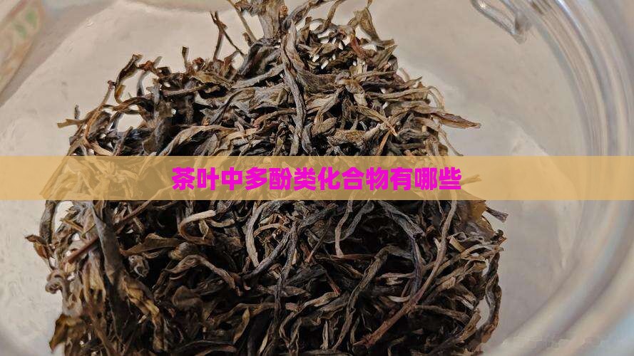 茶叶中多酚类化合物有哪些