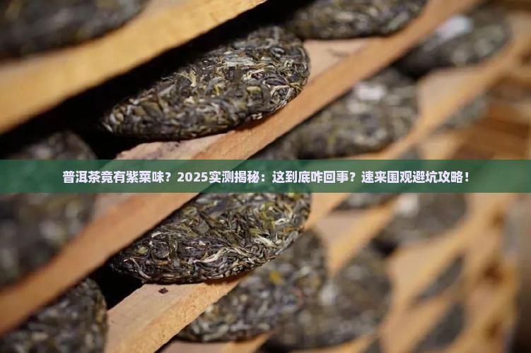 普洱茶有紫菜味道怎么办
