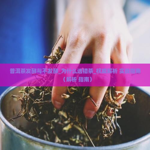 普洱茶发酵与不发酵