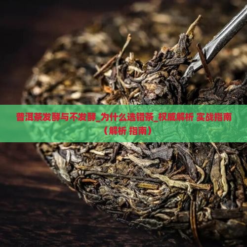 普洱茶发酵与不发酵