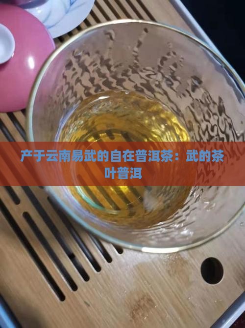 易武观自在普洱茶 易武观自在普洱茶