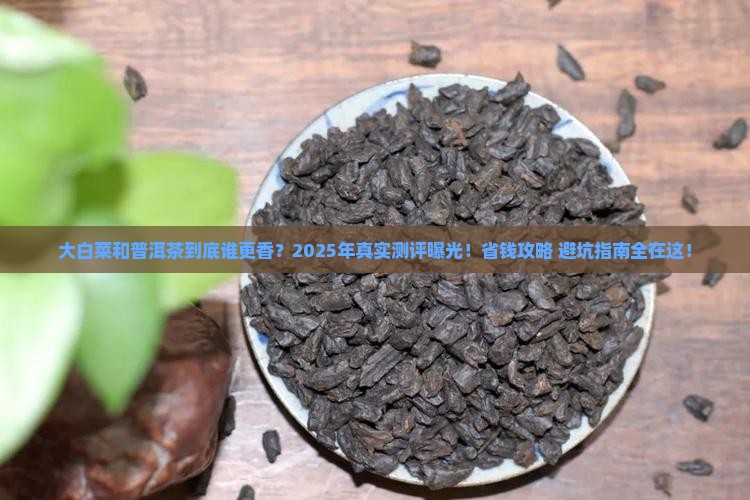 大白菜普洱茶哪个好 大白菜普洱茶哪个好