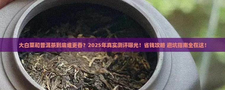 大白菜普洱茶哪个好 大白菜普洱茶哪个好