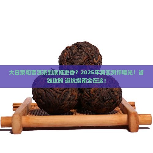 大白菜普洱茶哪个好 大白菜普洱茶哪个好