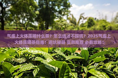 气虚上火体质喝什么茶