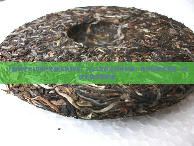 小罐茶是大红袍还是普洱茶好喝