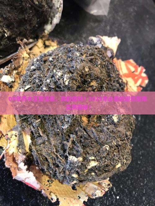 09年乔木王普洱茶