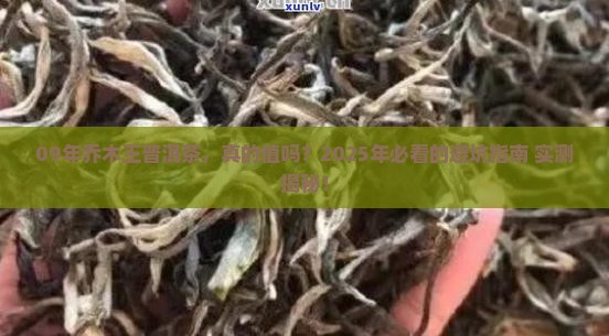 09年乔木王普洱茶
