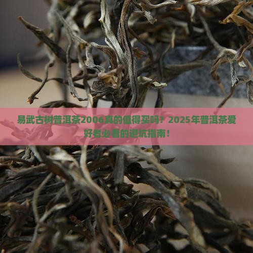 易武古树普洱茶2006