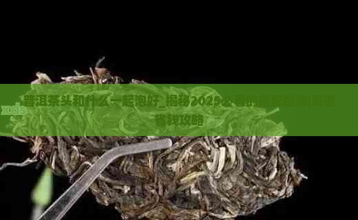 普洱茶头和什么一起泡好