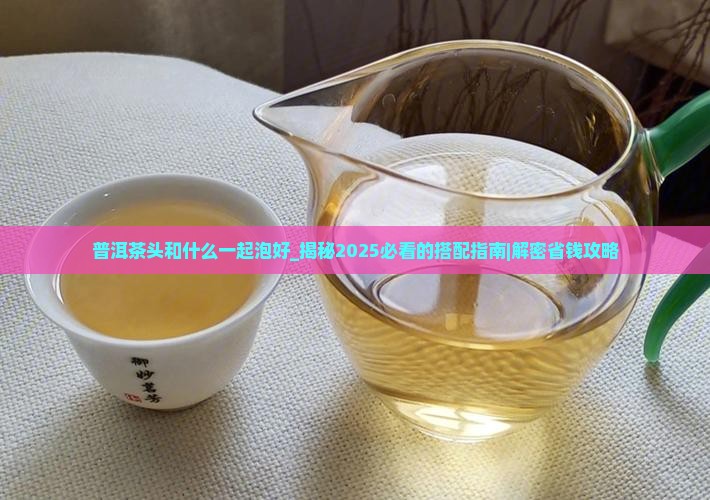普洱茶头和什么一起泡好