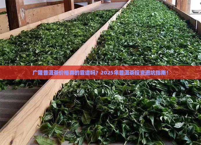 广隆普洱茶价格查询