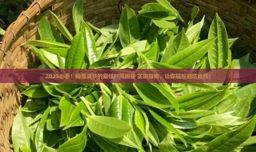 喝普洱茶什么时间段好呢