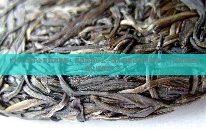普洱茶与什么在一起冲泡
