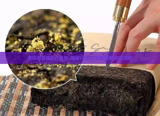老同志普洱茶代表作