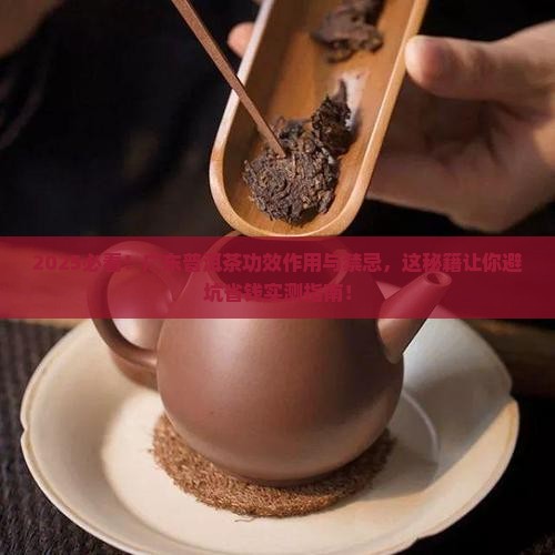 广东普洱茶功效作用与禁忌