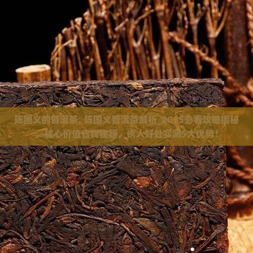 陈国义的普洱茶
