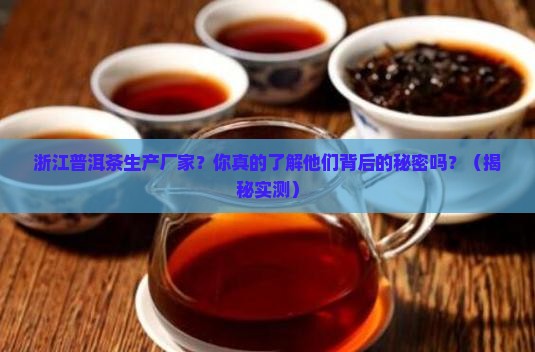 浙江普洱茶生产厂家