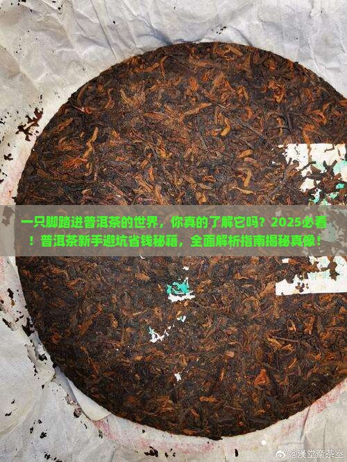 一只脚踏进普洱茶的世界