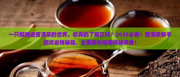 一只脚踏进普洱茶的世界