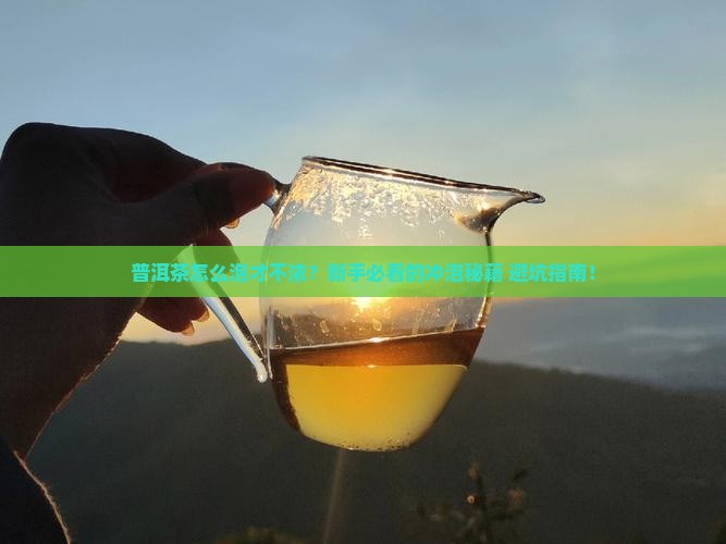 普洱茶怎么泡才不浓