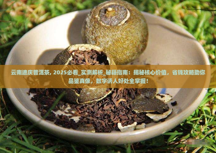 云南迪庆普洱茶