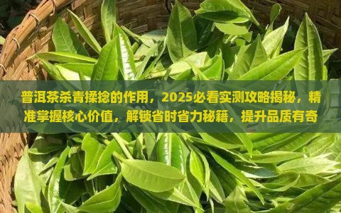 普洱茶杀青揉捻的作用
