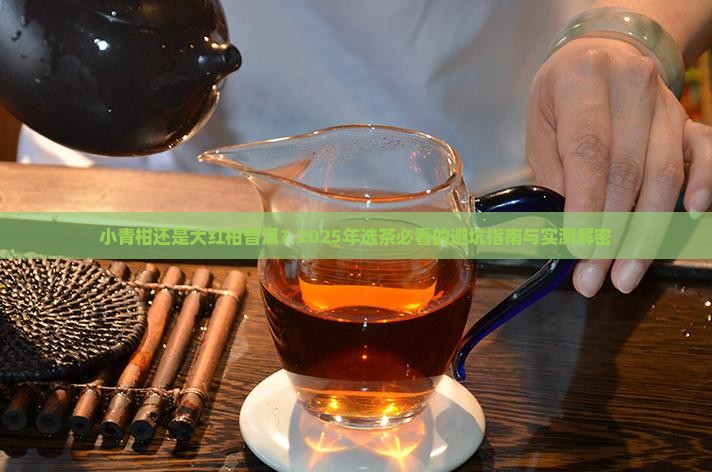 小青柑还是大红柑普洱哪个好