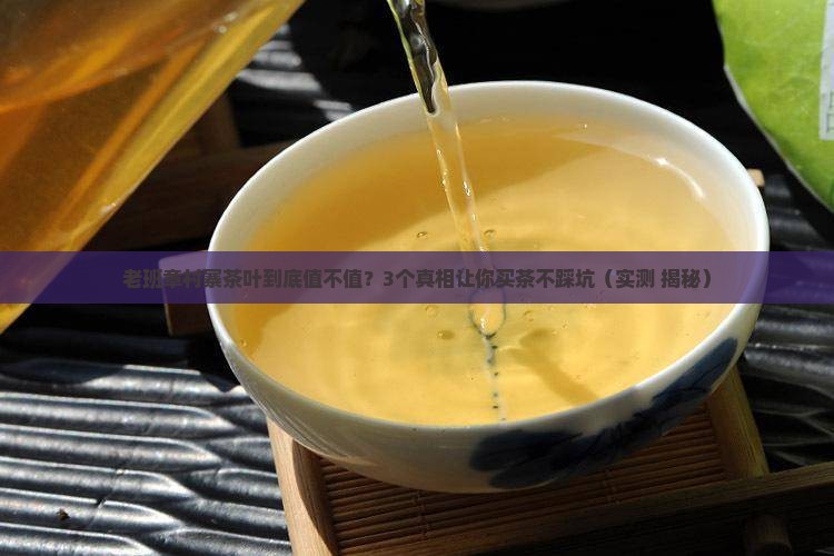 老班章村寨茶叶