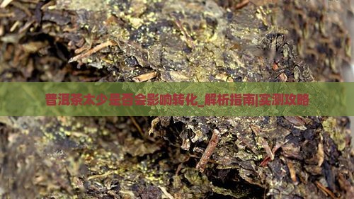 普洱茶太少是否会影响转化