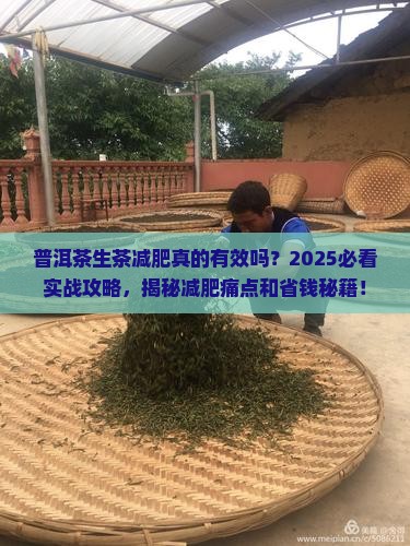 普洱茶生茶减肥