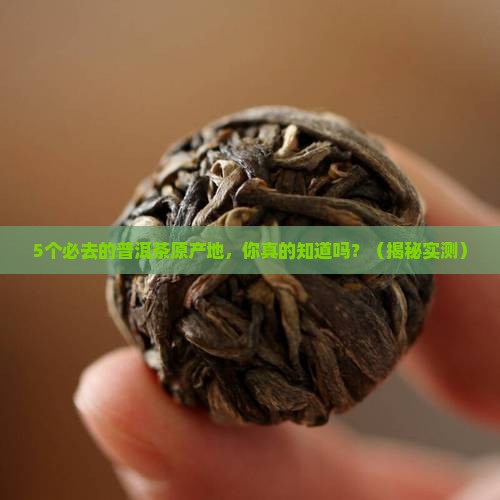 云南哪里是普洱茶的故乡之一