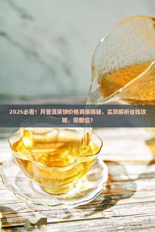 月普洱茶饼价格多少钱一斤
