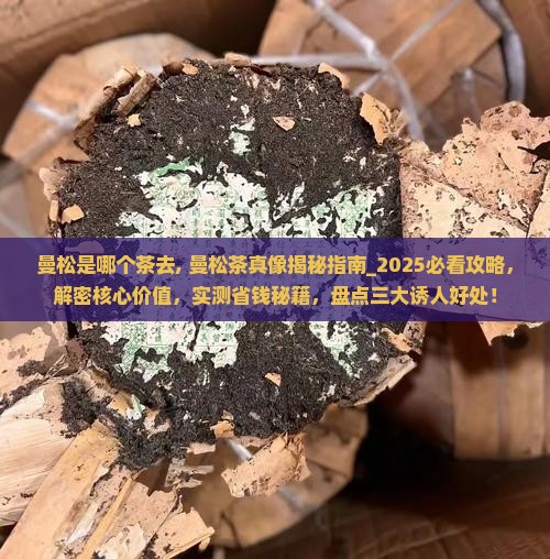 曼松是哪个茶去