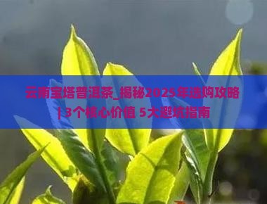 云南宝塔普洱茶