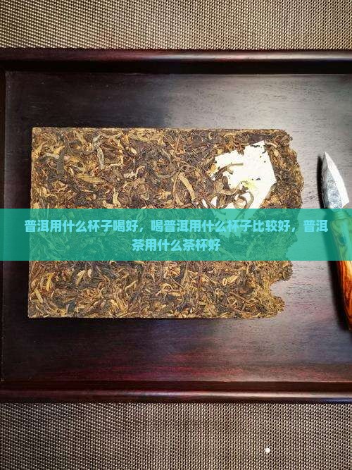 普洱用什么杯子喝好
