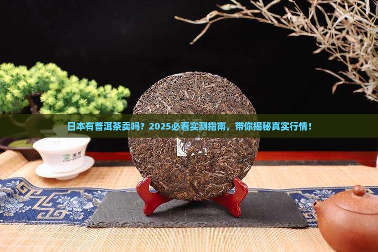 日本有普洱茶卖吗