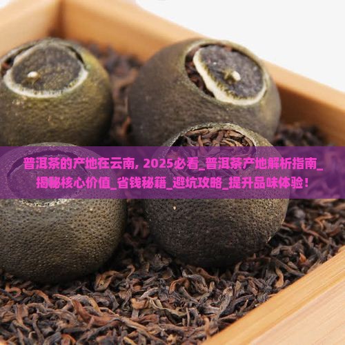 普洱茶的产地在云南
