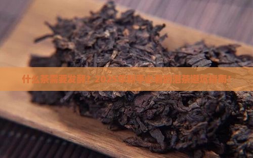 什么茶需要发酵