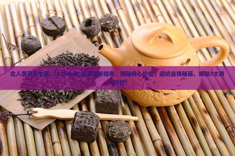 北人普洱茶生茶
