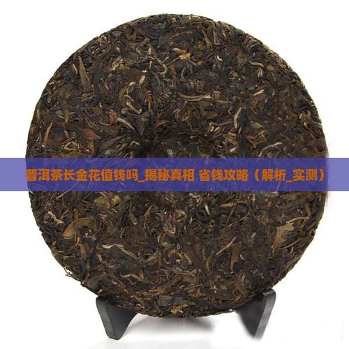 普洱茶长金花值钱吗