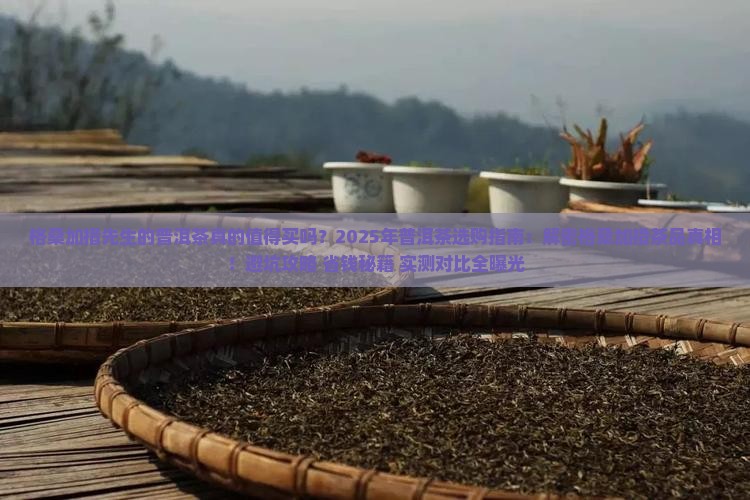 格桑加措先生的普洱茶