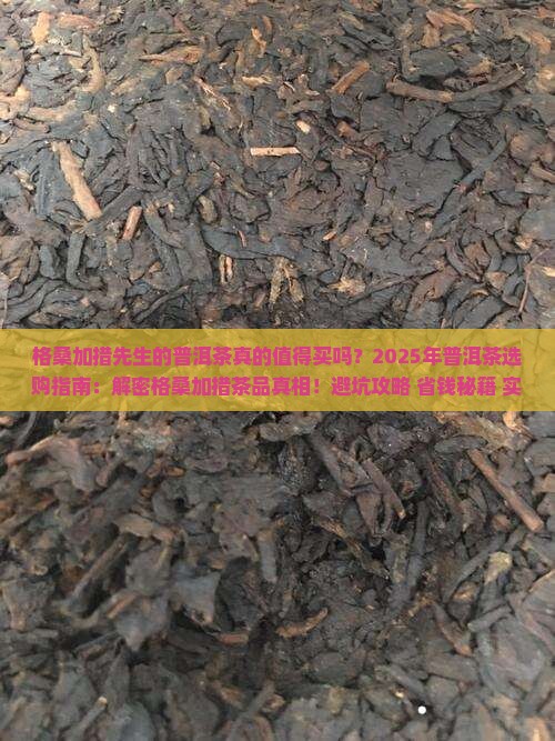 格桑加措先生的普洱茶