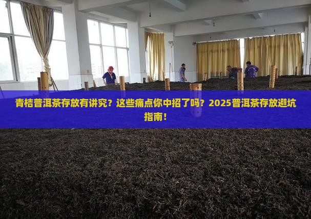 青桔普洱茶存放