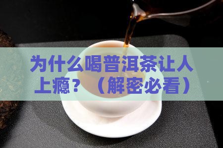 我们为什么爱喝普洱茶