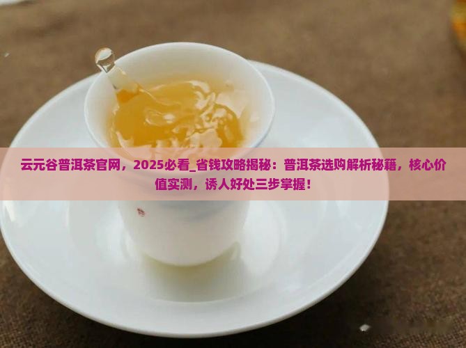 云元谷普洱茶官网