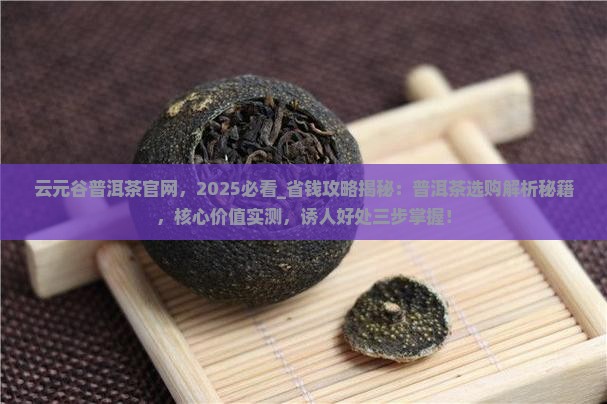 云元谷普洱茶官网