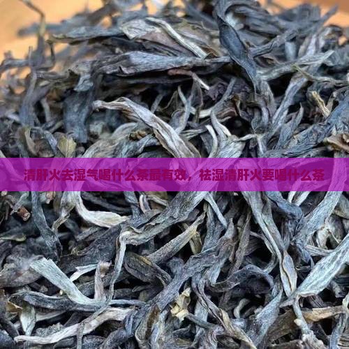 清肝火去湿气喝什么茶最有效