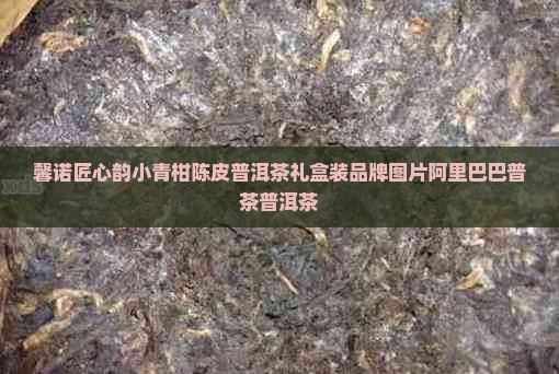 馨诺匠心韵小青柑皮普洱茶